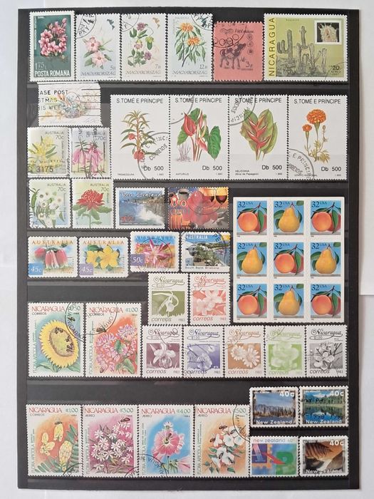 Пощенски марки тема ”Растения”.