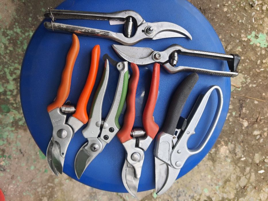 Лозаро-овощарски ножици