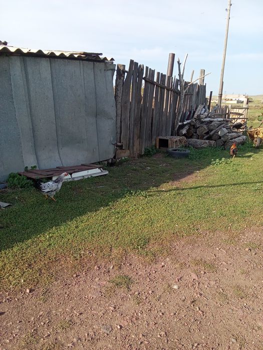 Продам срочна дом в село жанаталап