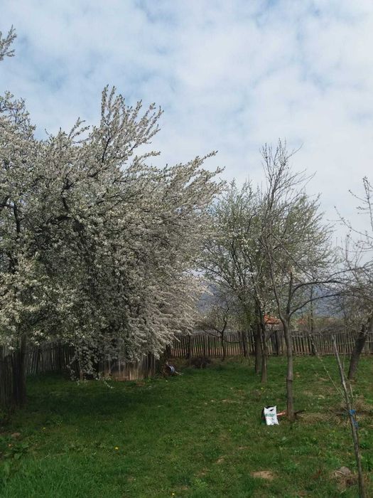 Casa de vanzare in statiune turistica + teren