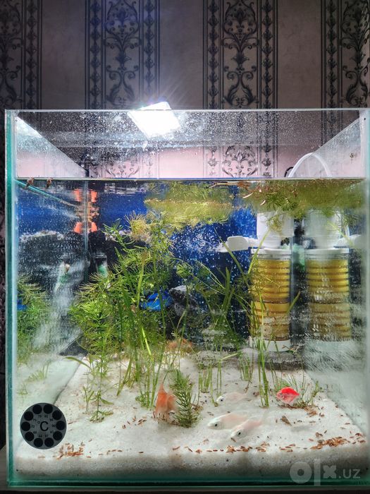 Akvarium 60l 12l