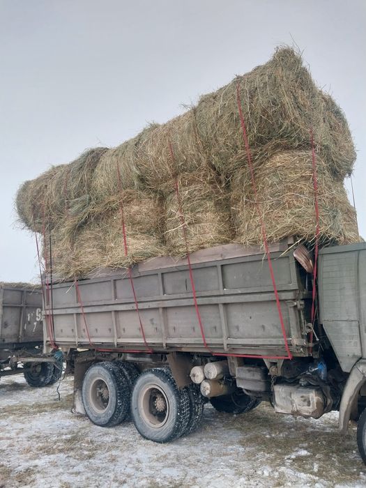 Продам сено в рулонах с доставкой