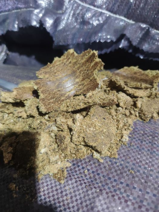 Кунджара, жмых хлопковый, кунжара