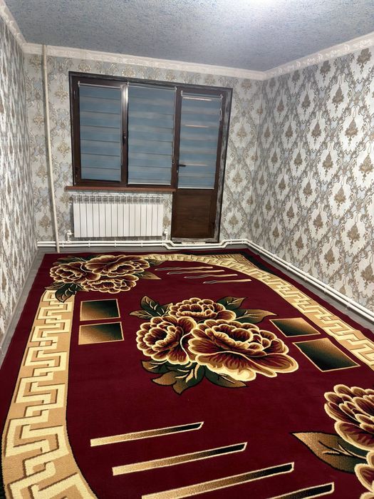Hamma shaoitlari bilan