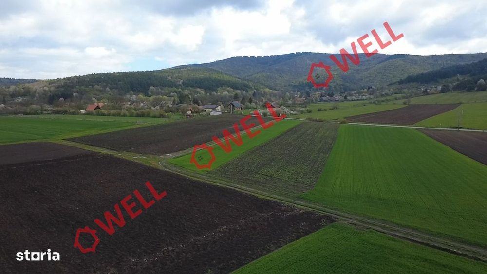 Teren intravilan de vânzare în Bicfalău!