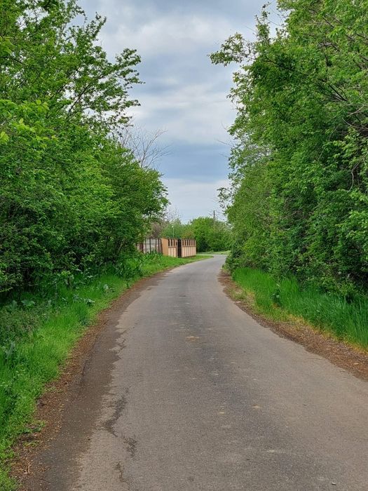 Vânzare teren cu casa batraneasca în  Merii Petchii, Ilfov