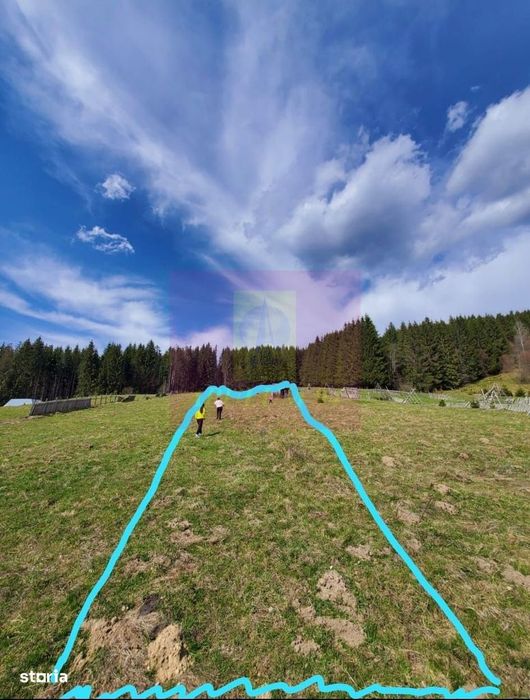 Teren intravilan 2500 mp in Valea Doftanei