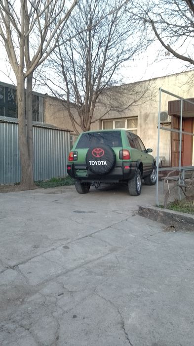 Кастоправ  покраска