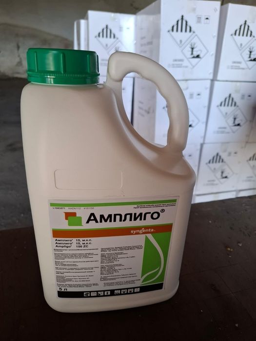 Амплиго Дамба продам