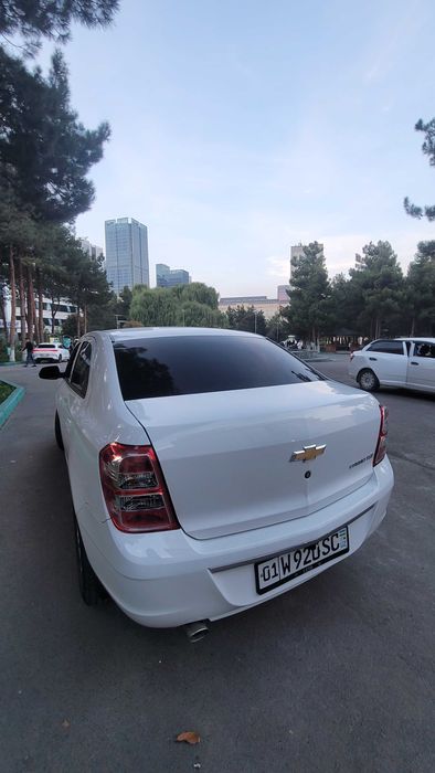 Cobalt 2024 (avgust) stayle versiya