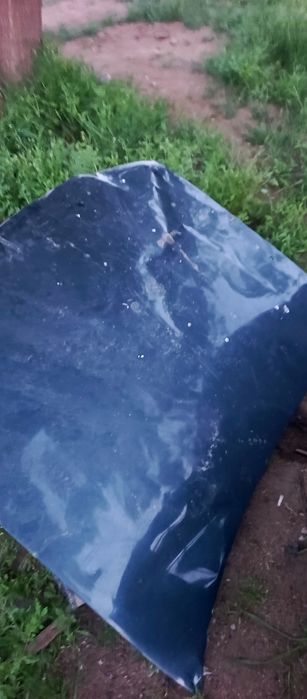 Бағасы келісім бойынша