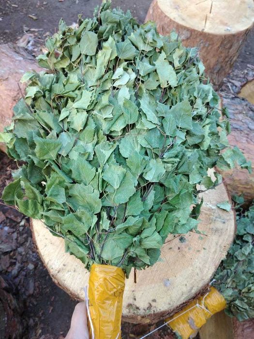 Березовые веники