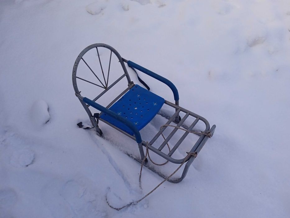 Санки детские зимние