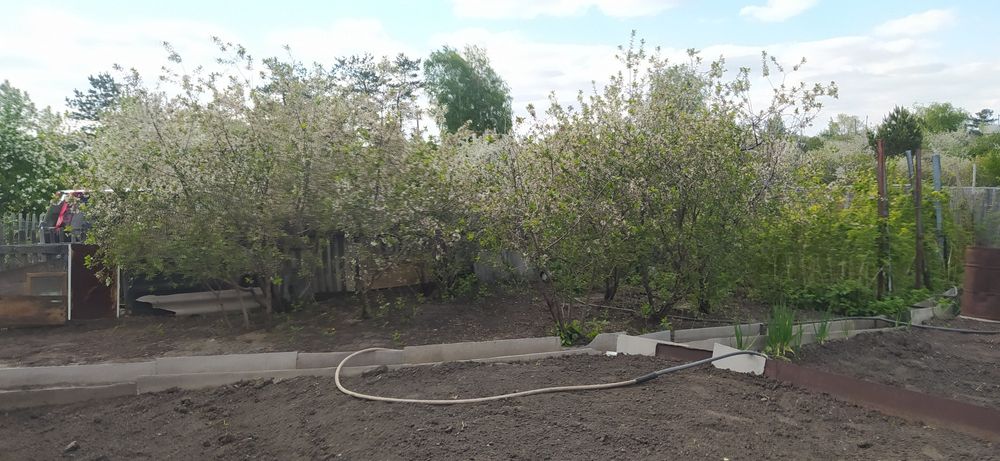 Продам дачу СО"Железобетонщик"