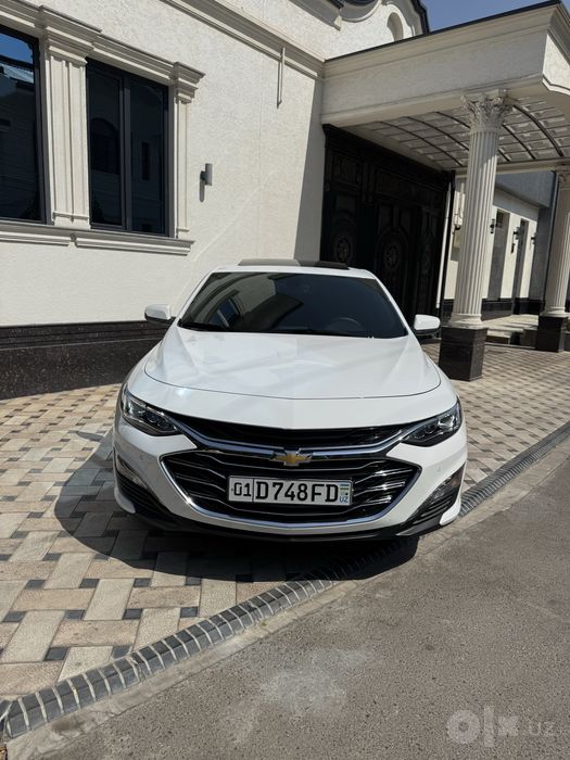 Malibu 2 premer 2022