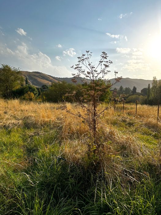 Продам земельный участок 10 соток