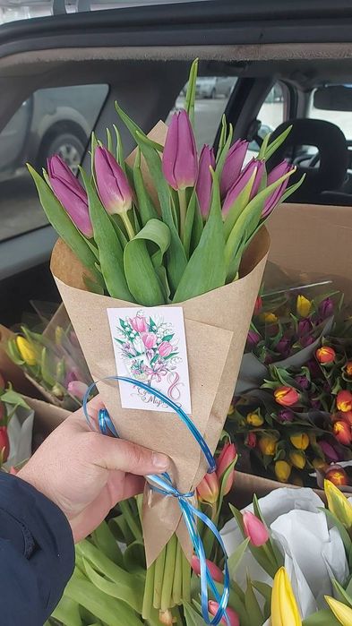 Продажа тюлпанов