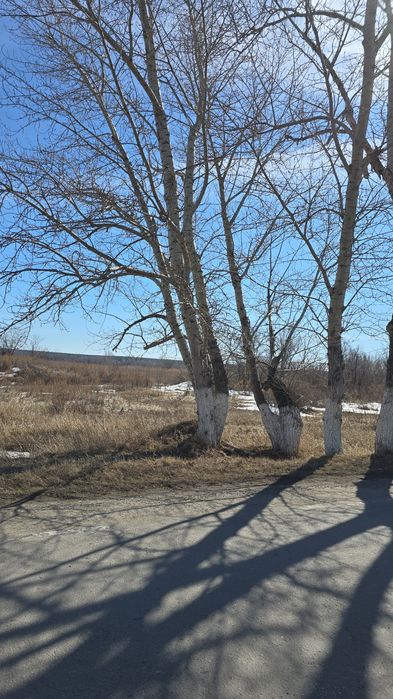 Продажа земельных участков