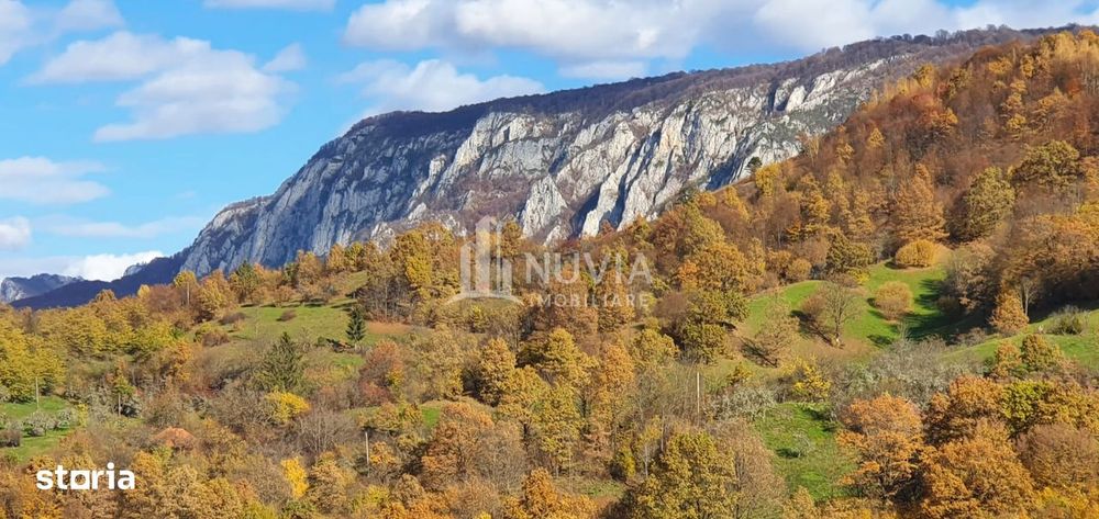 Teren extravilan,7000 mp,Salciua de Jos