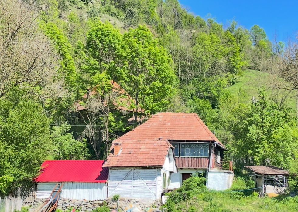 Vând casa veche la țară.