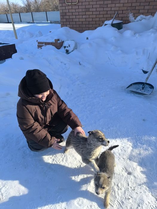 Отдам кабельков.