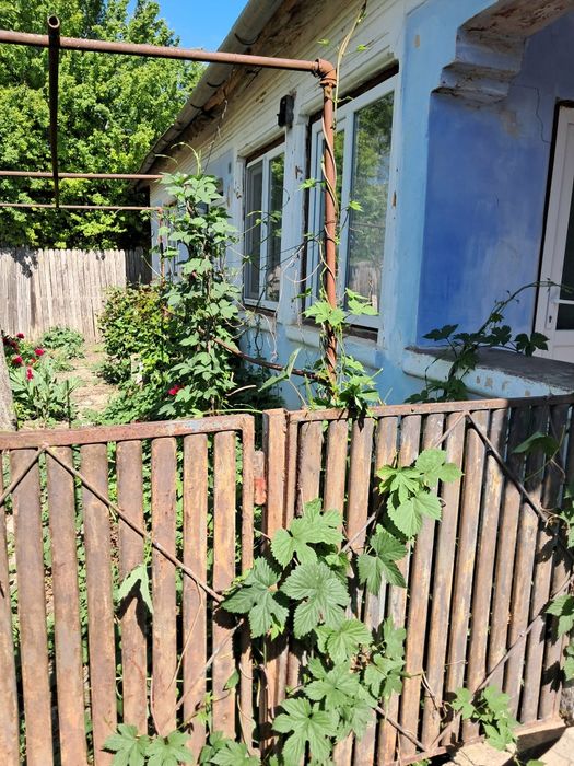 Vand casa Macesul de sus Dolj