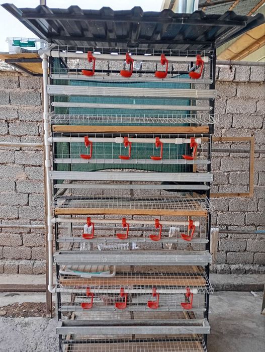 Tovuq qafas sotiladi 4 qavatlik