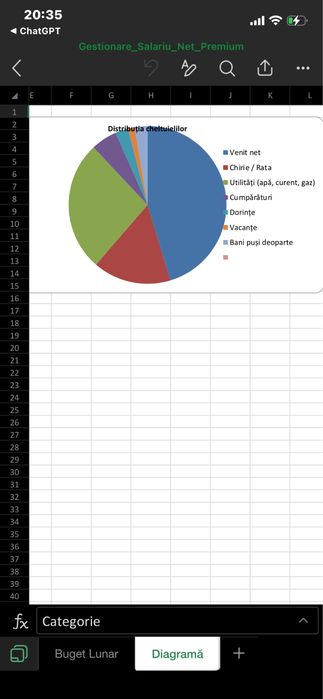 Excel cheltuieli lunare cu toate calculele incluse
