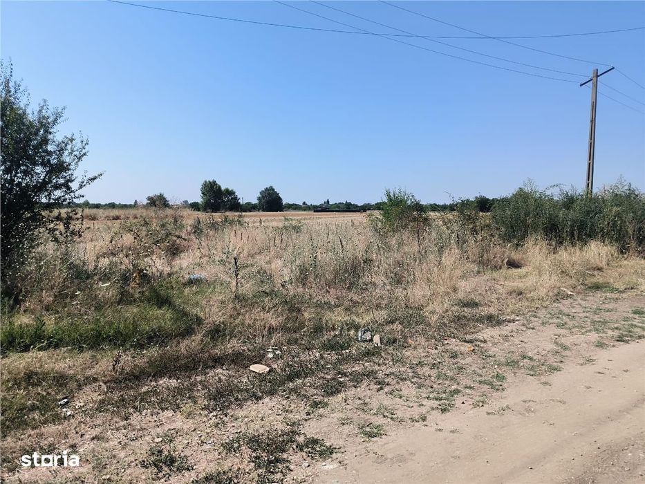 Oportunitate De Investitie – Teren 1.600 Mp In Cornetu | Str. Aeroport