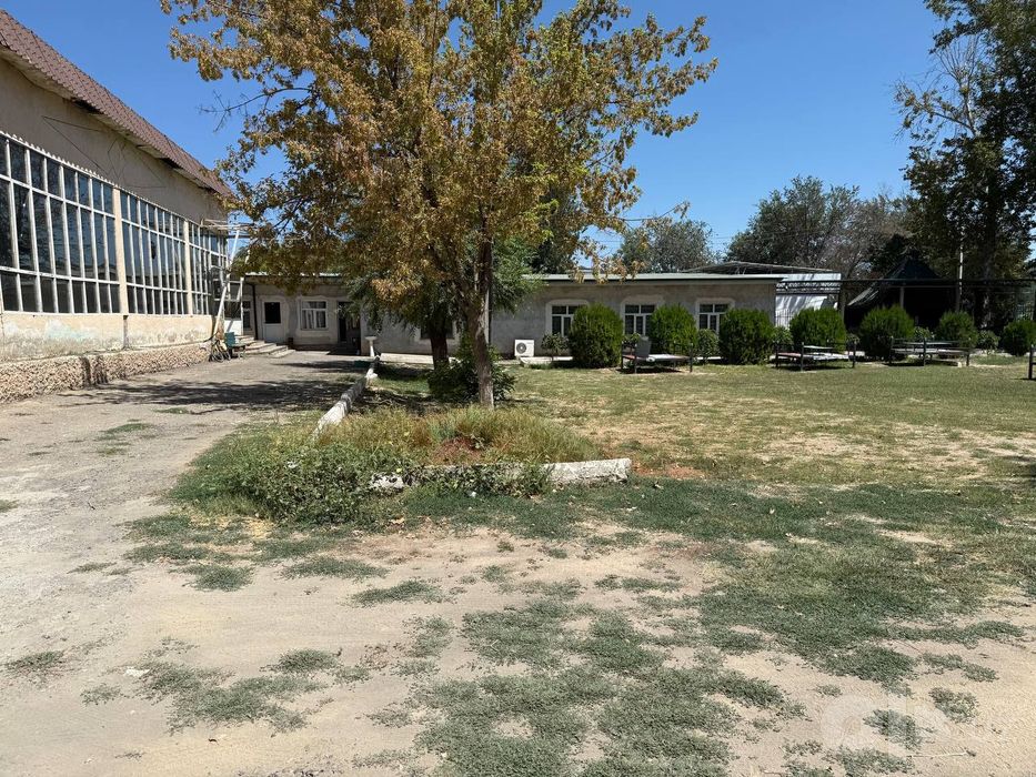 Zudlik bilan sotiladi