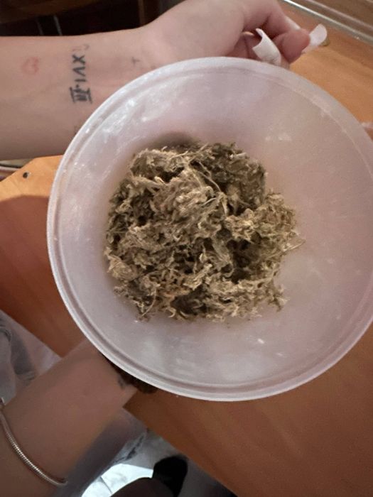 продам аквариум для рыб