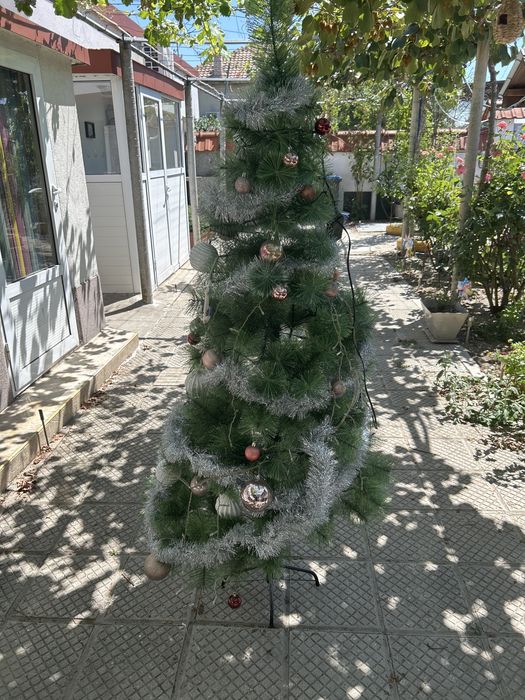 Новогофдишна Елха