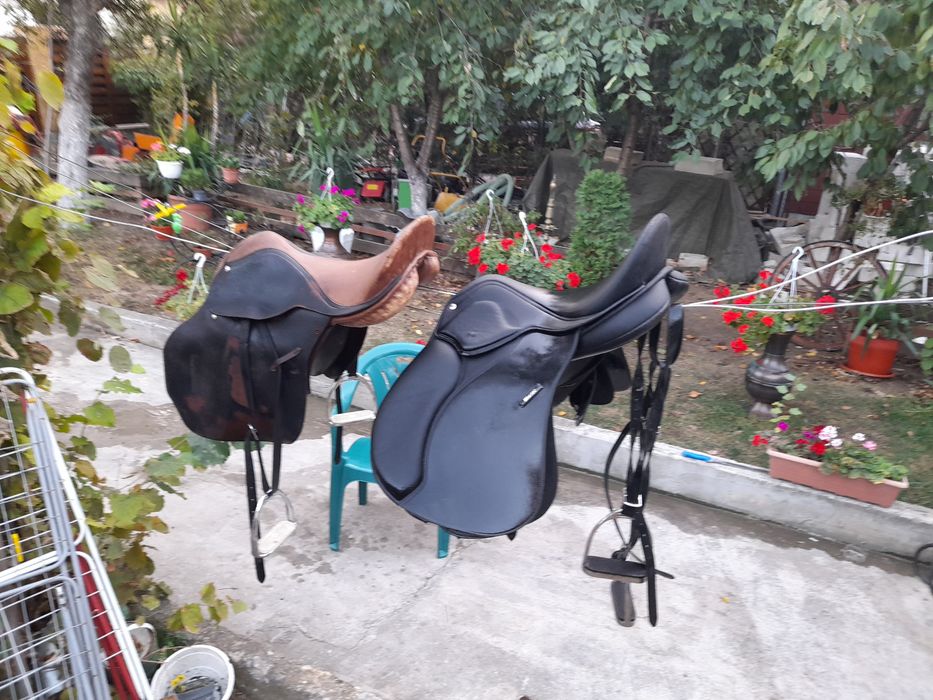 Sa calarie universala wintec 2000 Echitație