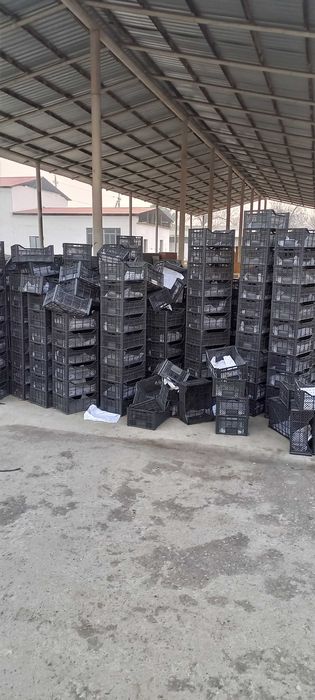 Продам яшике для яблок