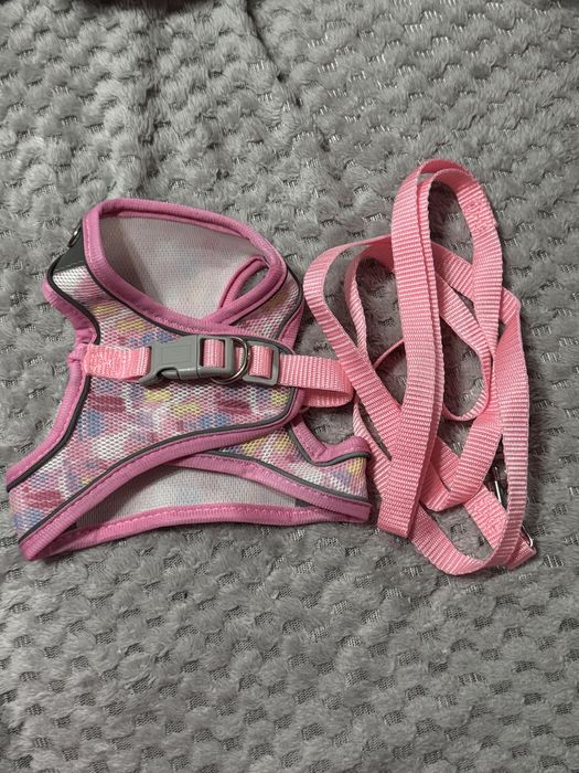 Ham caini cu lesa roz S nou