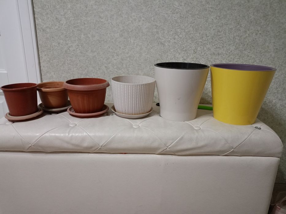 Книги посуда одежда