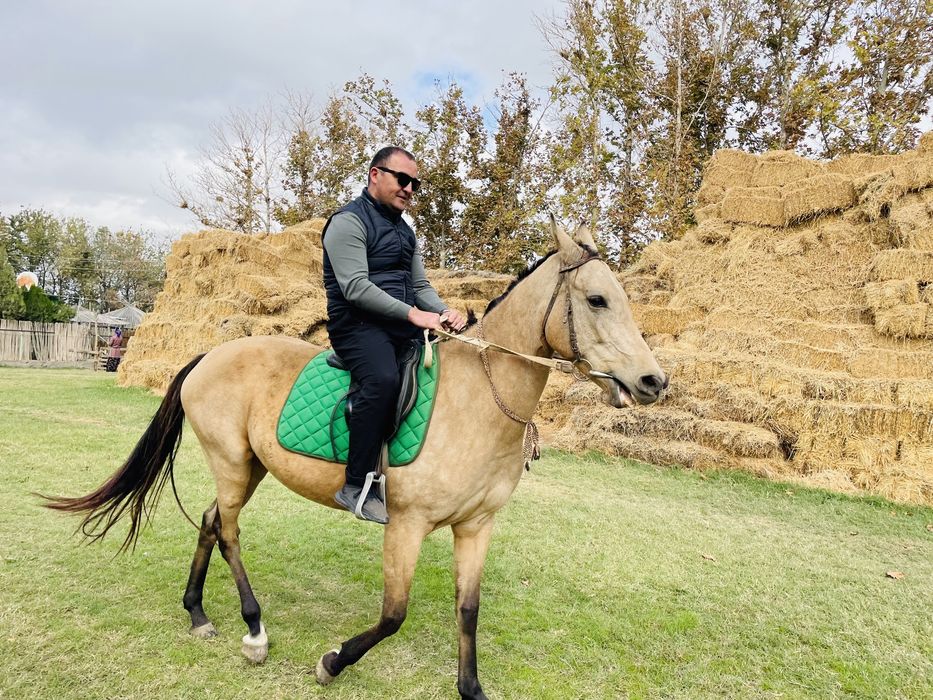 Услуги Гид-переводчик и трансфер по всему Узбекистану