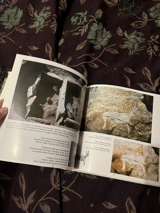 Наскальные рисунки края Кереку-Баян