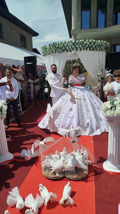 Porumbei albi, stâlpi albi și covor roșu