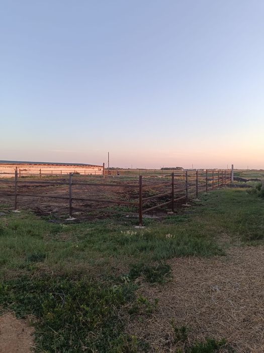 Продам животноводческое хозяйство