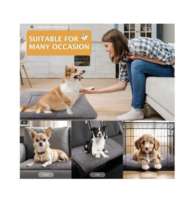 Covoras reversibil pentru caini 75x50 cm, PET SPPTIES