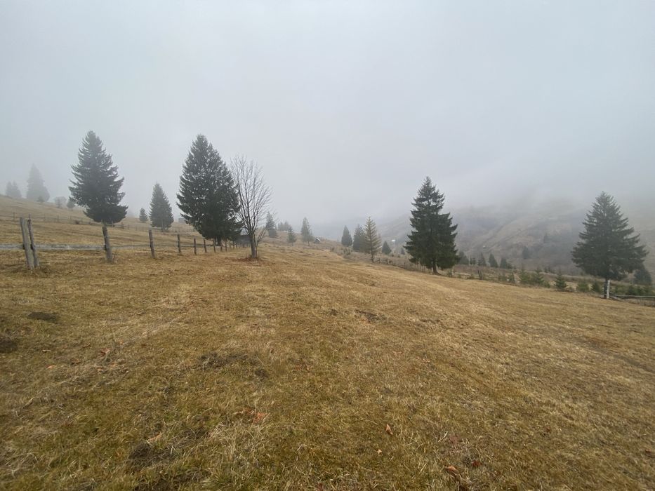 Vand teren 5000 de m patrati, Comuna Breaza, Jud Suceava