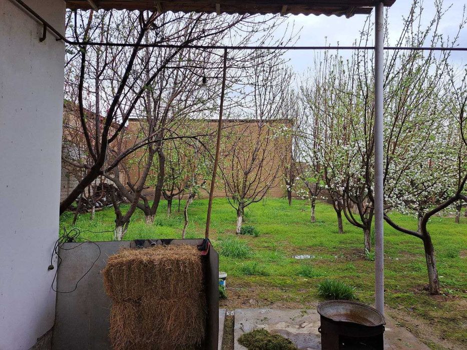 Katta bog'li dacha sotiladi