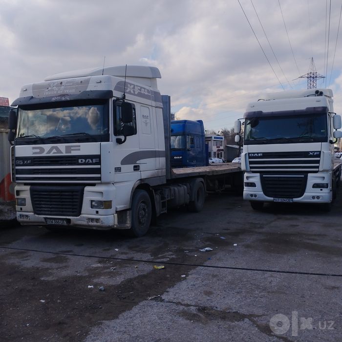 Shalanda xizmati Tashkent/ Tashkent viloyat boylab