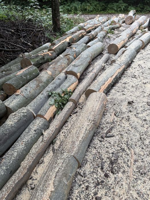 ‼️Lemne de foc de cea mai bună calitate