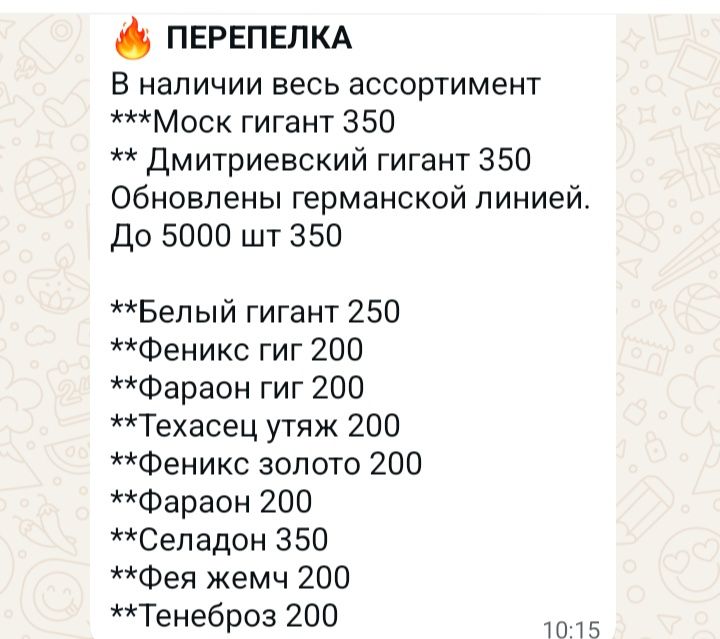 Инкубационное яйцо