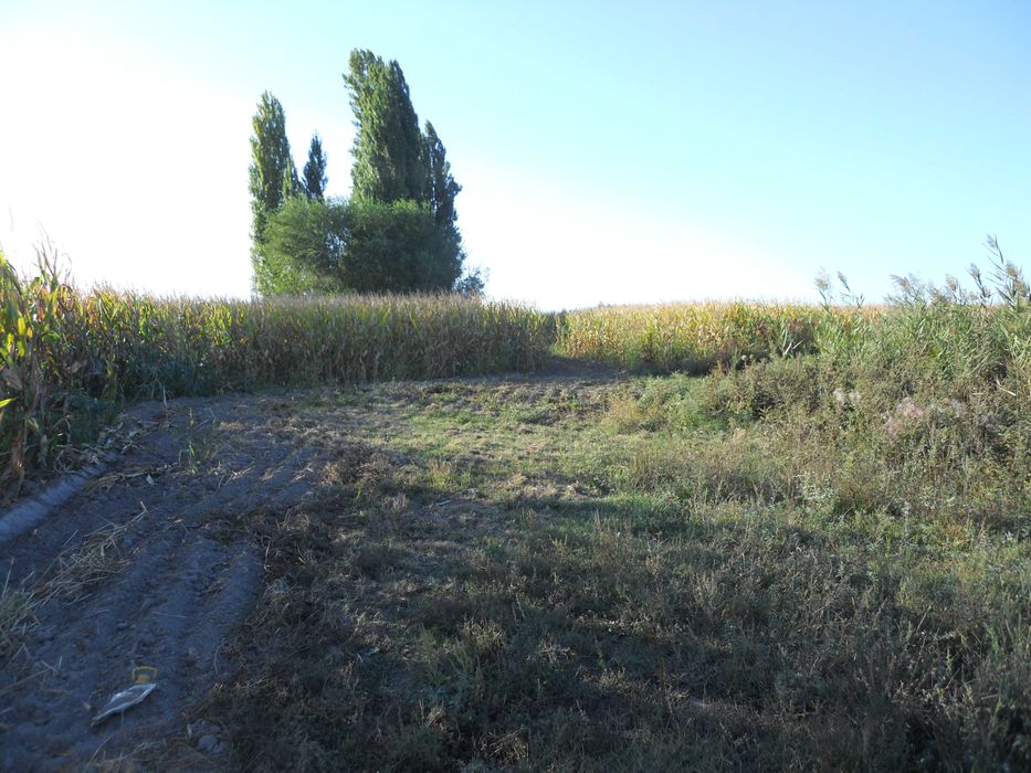 Продажа участка К/Х Жанашар