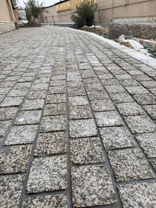 Bruchatka Koksaroy kolitiy