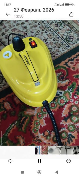 Пароочеститель германия