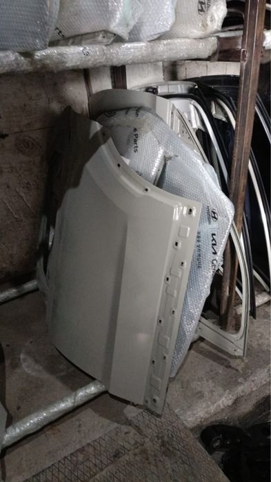 Задняя левая дверь на палисад